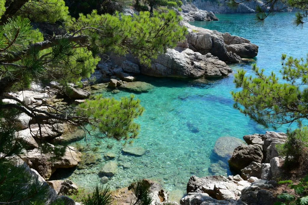 Maljevik, Zlatna obala i ostale plaže